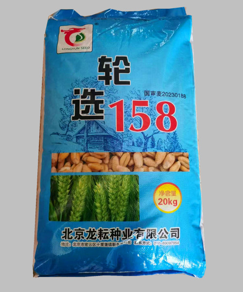 國(guó)審輪選158小麥種子  全冬性