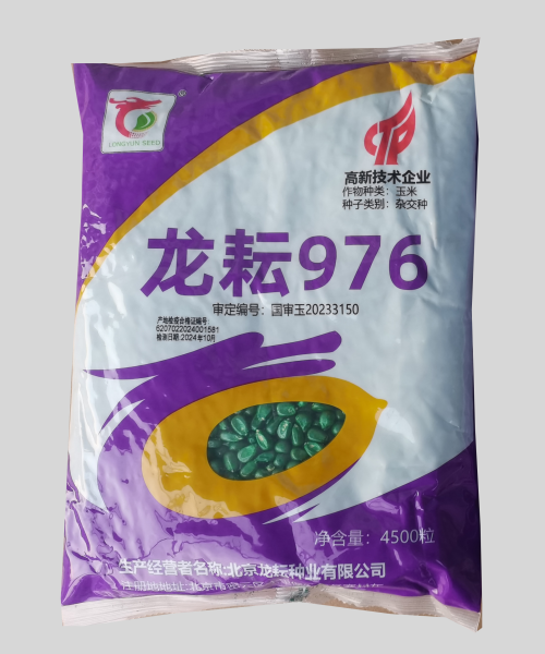 龍?jiān)?76 三國(guó)審 